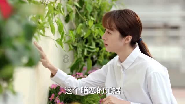 小猫钓鱼正版下载中文版